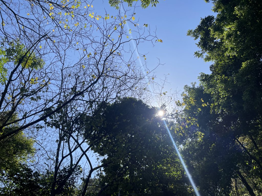 广州火炉山游记-index-1