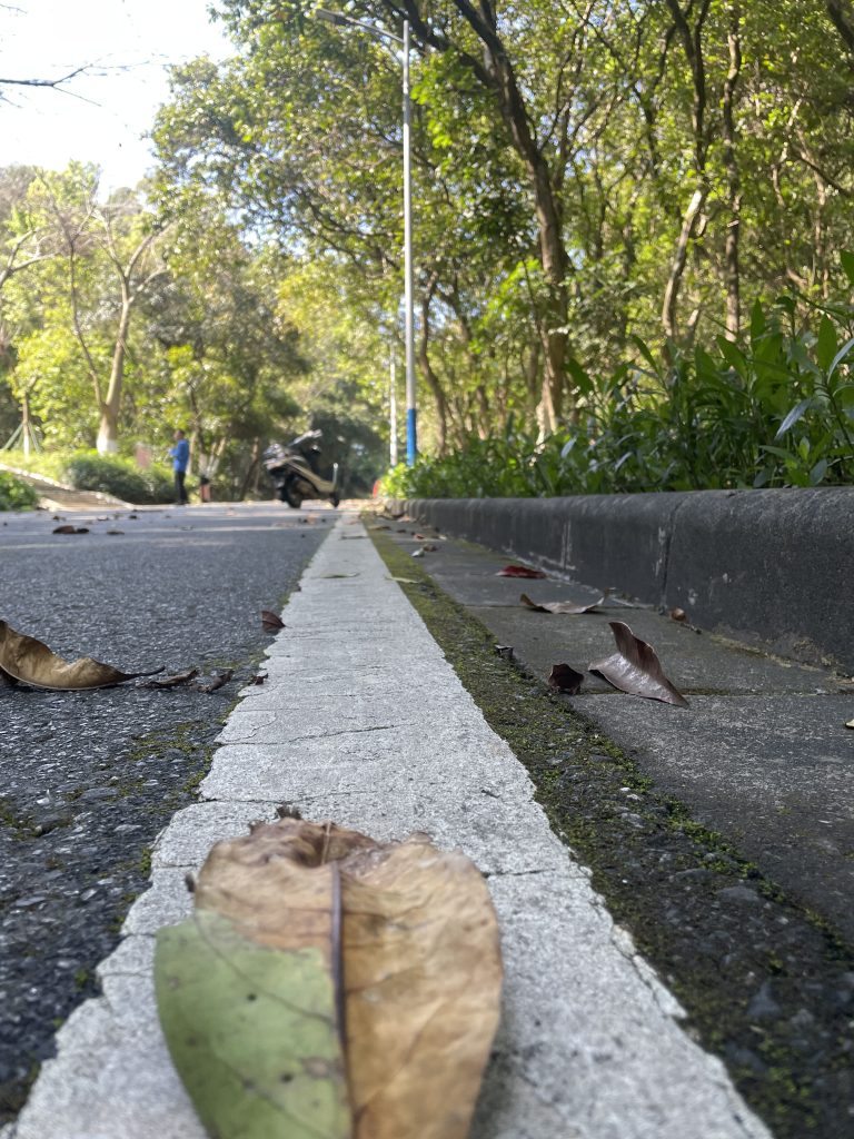 广州火炉山游记-index-0